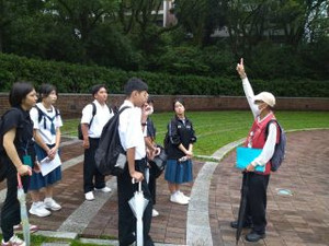 Photo_3