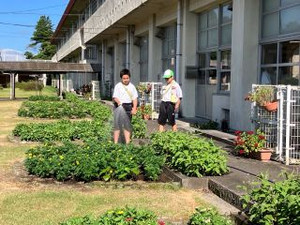 Photo_3